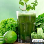نقش کلروفیل در طب سنتی از گذشته تا امروز