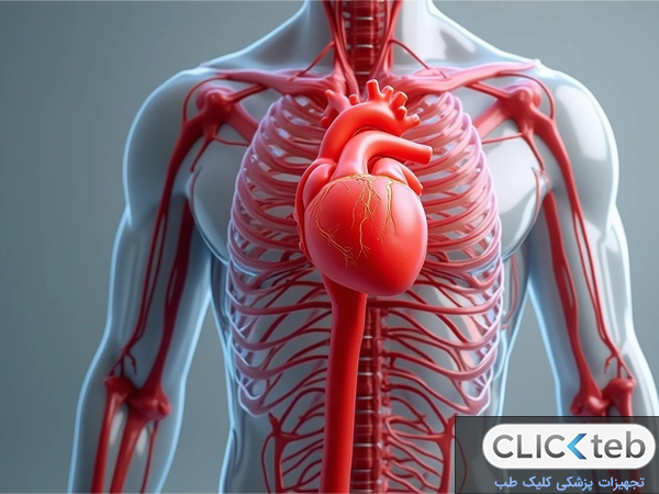 عملکرد آنژیوگرافی